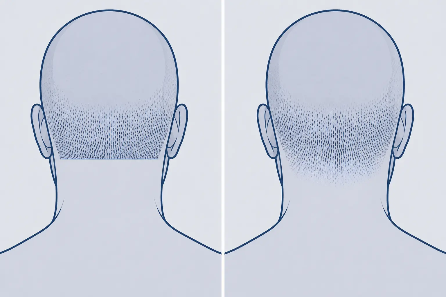 Diferencia entre una línea de nuca recta y una difuminada en una cabeza rapada